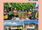 토닥이 18호