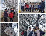 주간보호 사회적응훈련 실시