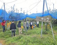 옐로우창농 농촌자원연계